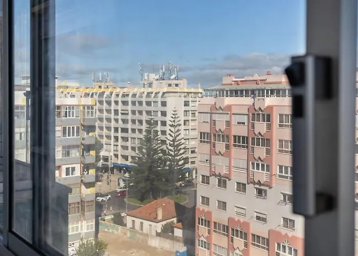 Palm View House